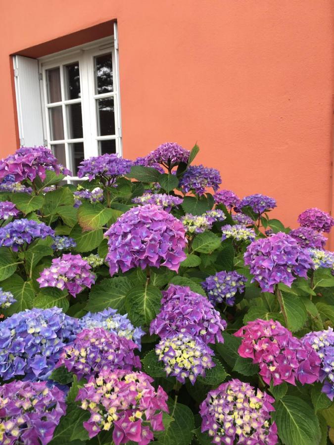 Hotel La Belle Etoile Thouaré-sur-Loire Dış mekan fotoğraf